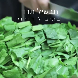 תבשיל תרד